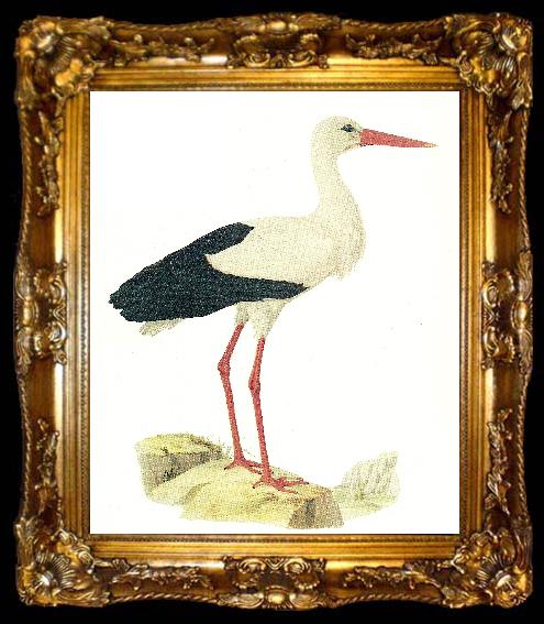framed  broderna von wrights vit stork, ta009-2